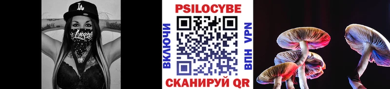 Галлюциногенные грибы Psilocybine cubensis Соль-Илецк