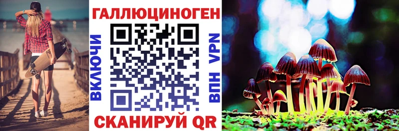 mega сайт  Соль-Илецк  Псилоцибиновые грибы Psilocybine cubensis 